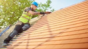 Best Roof Maintenance and Cleaning  in Lockport, IL