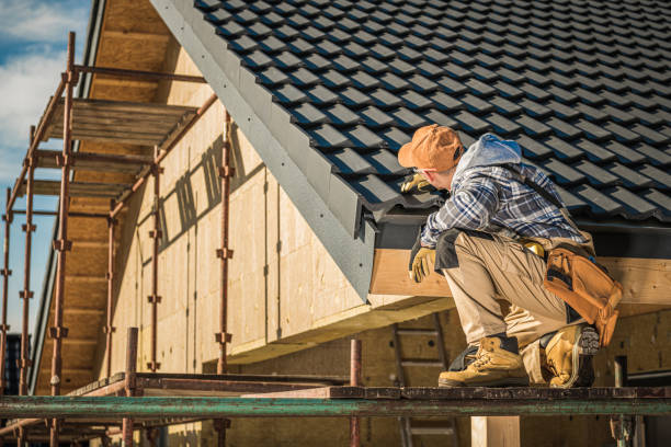 Best Roof Moss and Algae Removal  in Lockport, IL