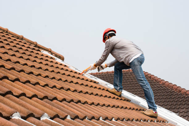 Best Roof Maintenance  in Lockport, IL